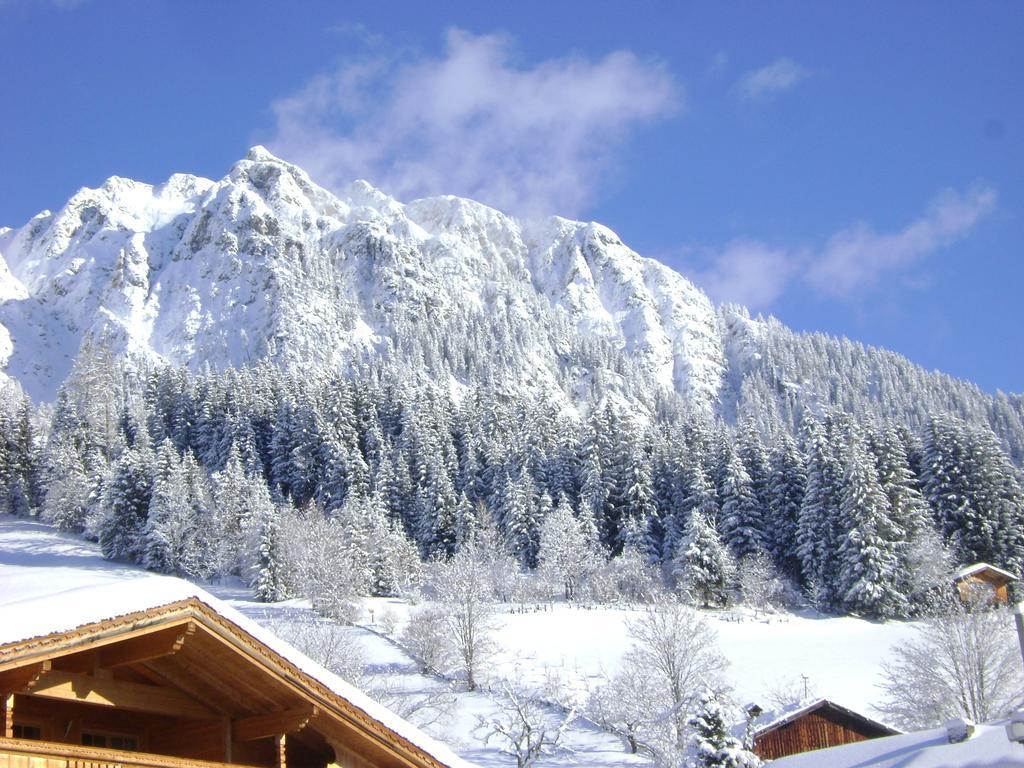 Appartement Alpina Alpbach Exteriör bild