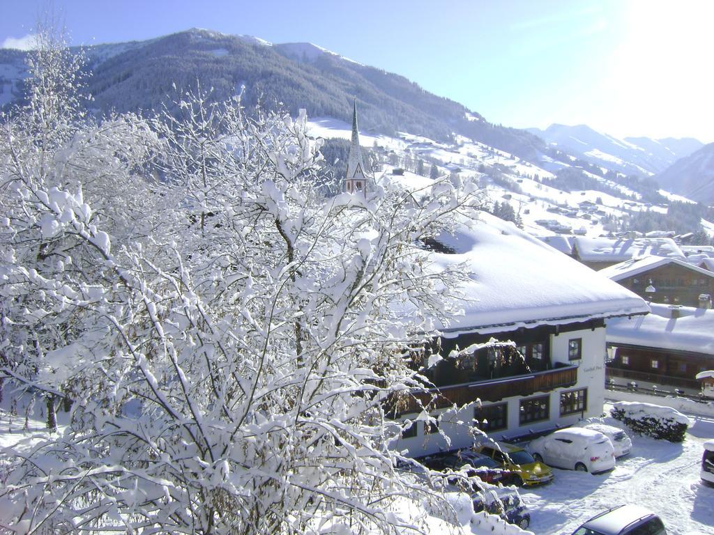 Appartement Alpina Alpbach Exteriör bild