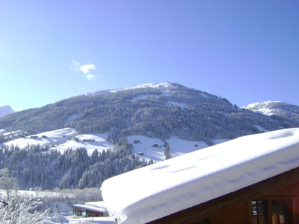 Appartement Alpina Alpbach Exteriör bild